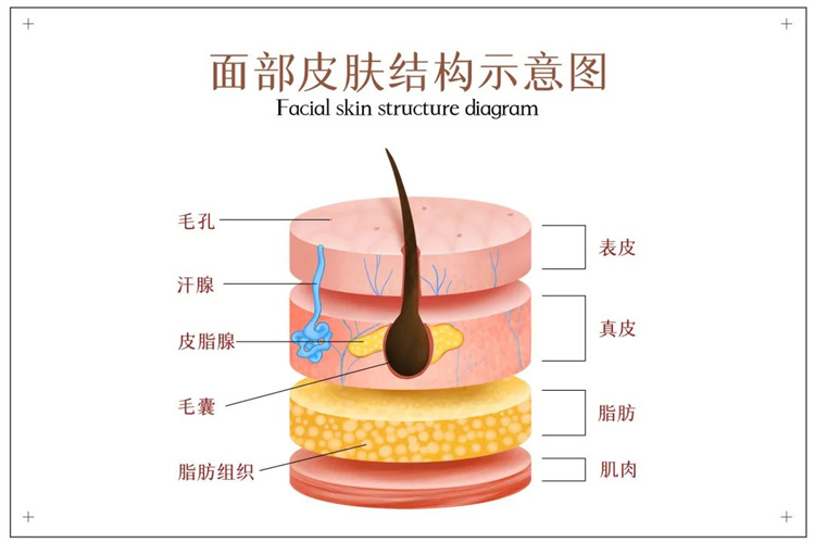 歐洲之星點(diǎn)陣激光美容儀.2.jpg